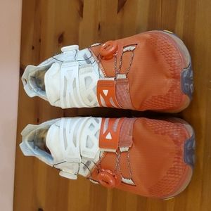 Altra Mont Blanc Boa,  men's running shoes